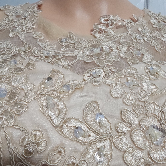 Lace Embroidered Beaded Nude Beige Sequin Fairy Coquette Top Sz 2 - Picture 3 of 5